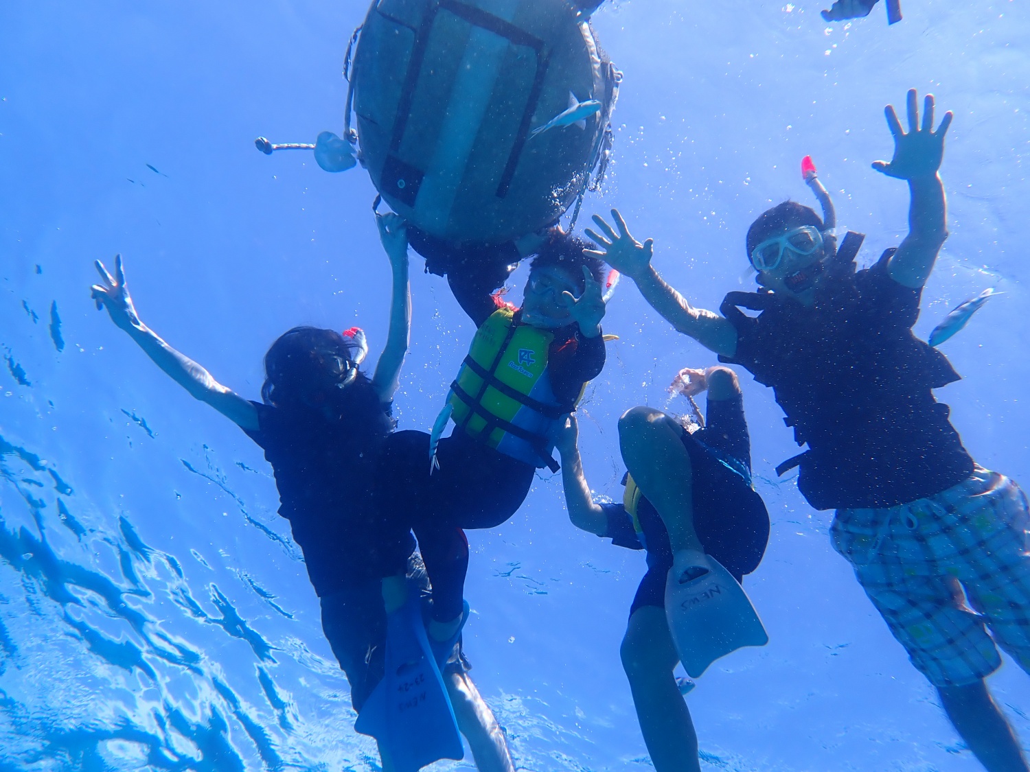 慶良間諸島シュノーケリング