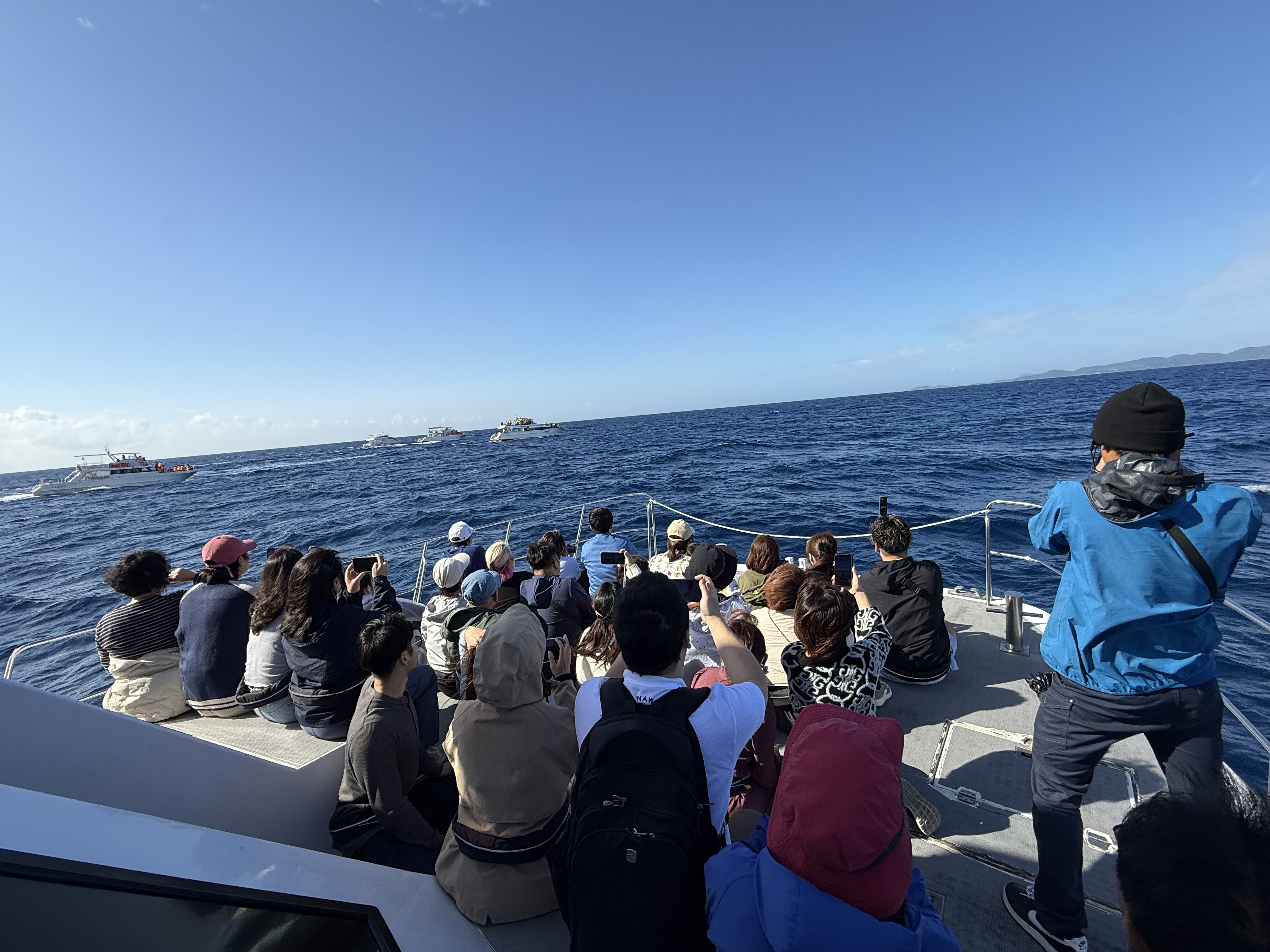 ホエールウォッチング